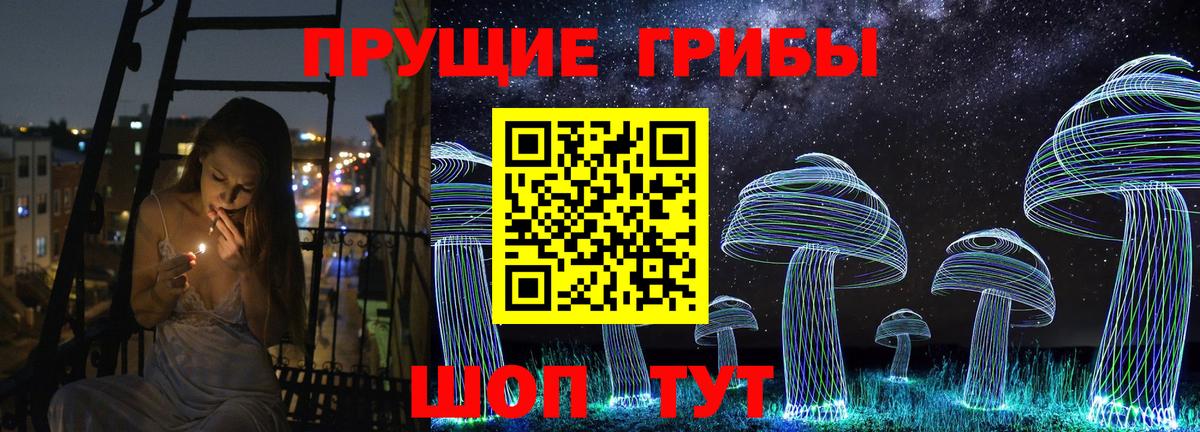 Галлюциногенные грибы Psilocybine cubensis  Вход с VPN  Лесозаводск 